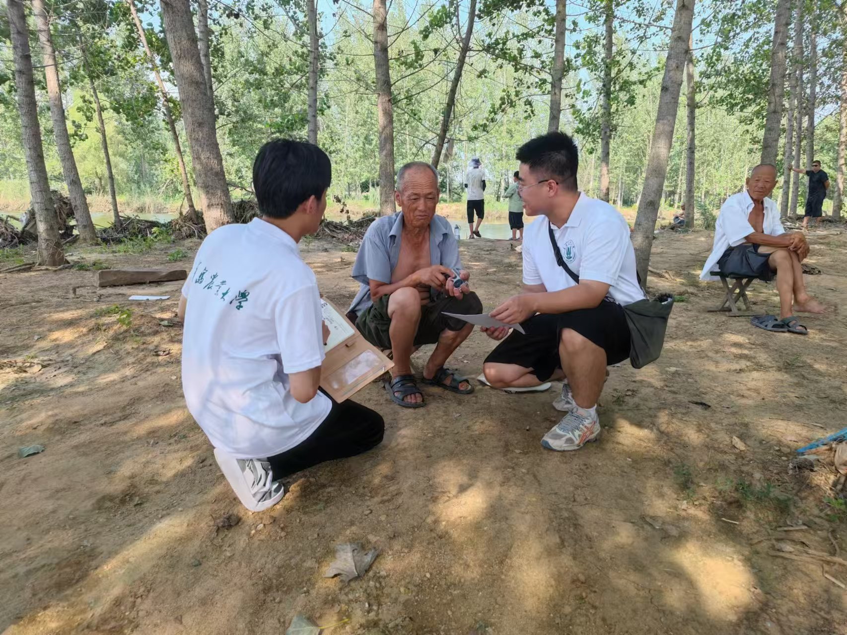 ylzzcom永利总站线路检测