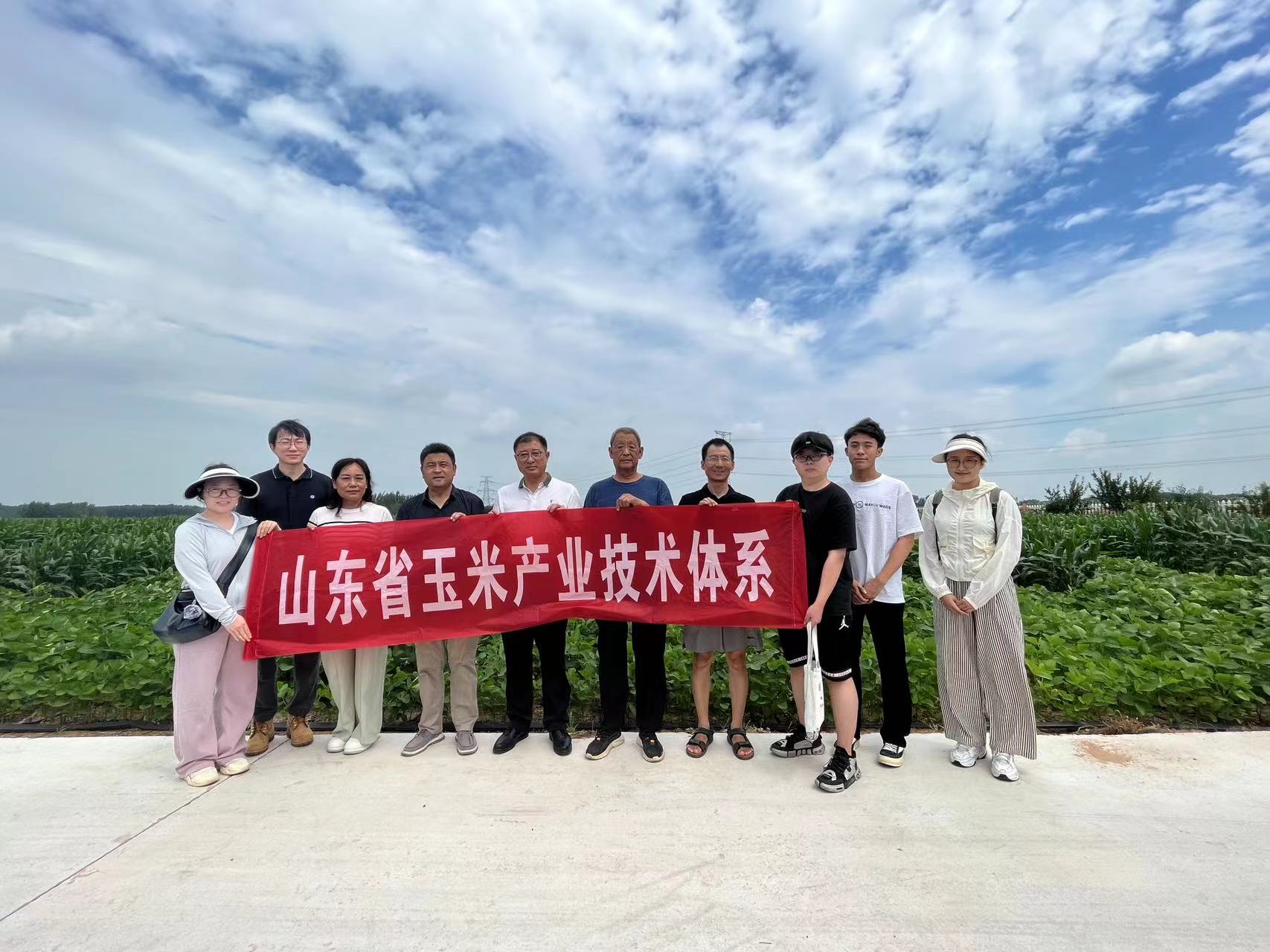 ylzzcom永利总站线路检测