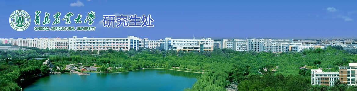 ylzzcom永利总站线路检测