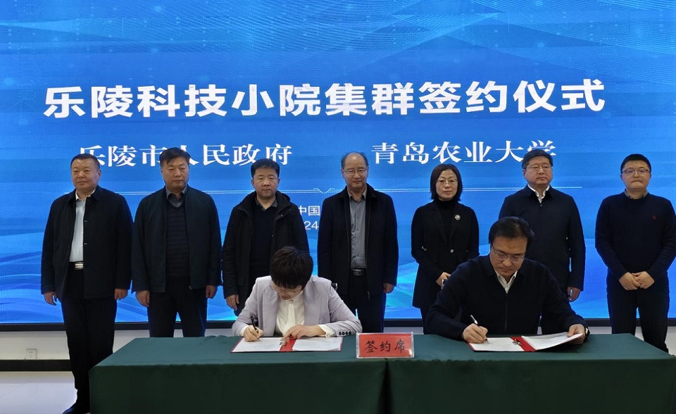 ylzzcom永利总站线路检测