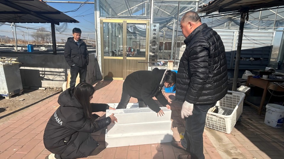 ylzzcom永利总站线路检测
