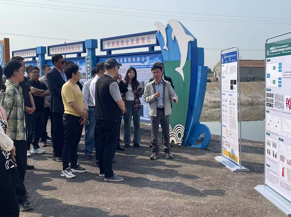 ylzzcom永利总站线路检测