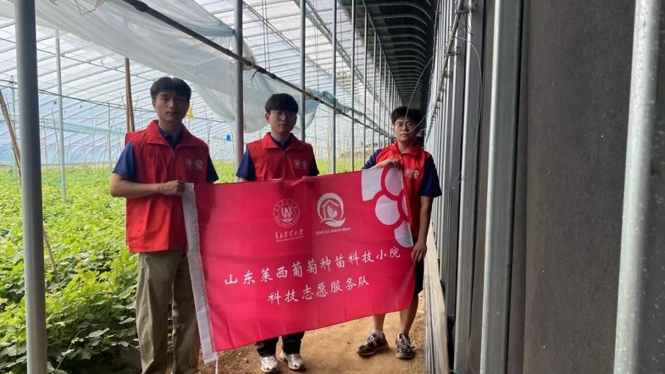 ylzzcom永利总站线路检测