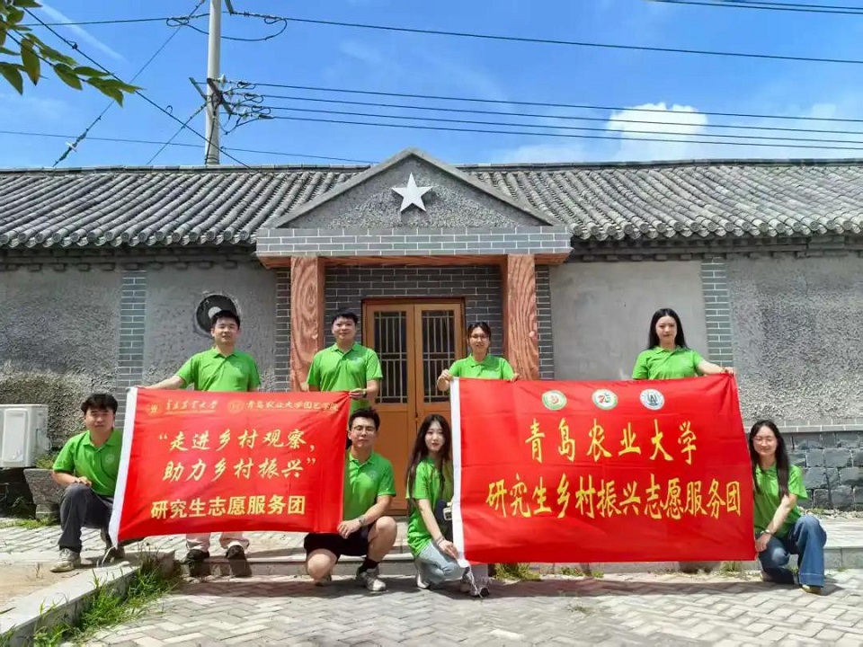 ylzzcom永利总站线路检测