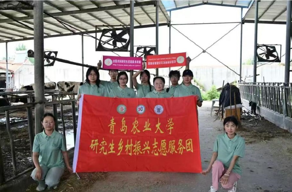 ylzzcom永利总站线路检测