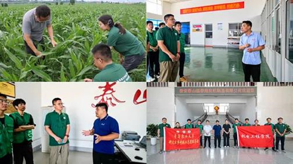 ylzzcom永利总站线路检测