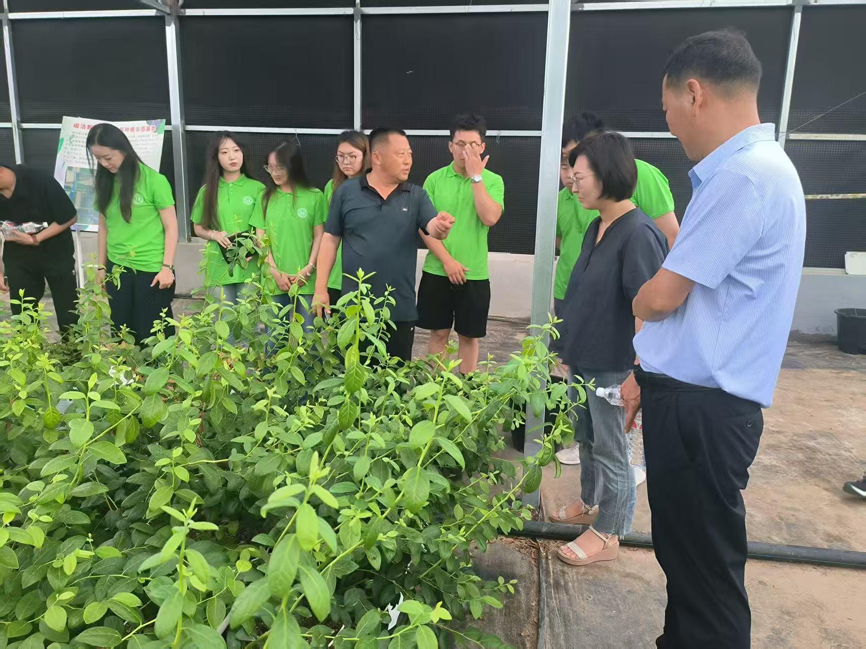 ylzzcom永利总站线路检测